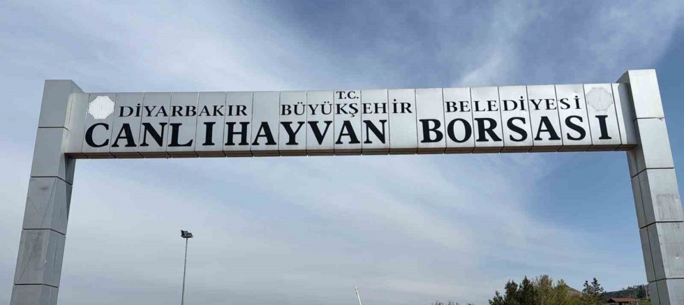 Diyarbakır Canlı Hayvan Borsası tadilata alındı
