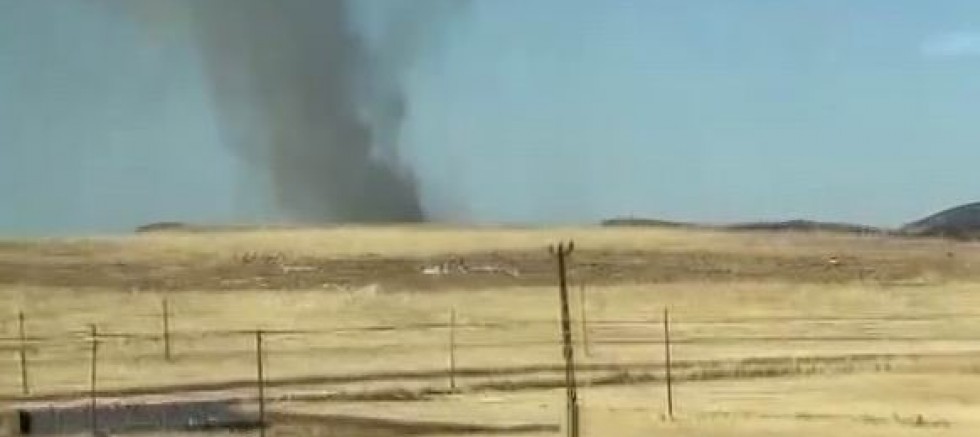 Diyarbakır’da ağaçlık alanda yangın