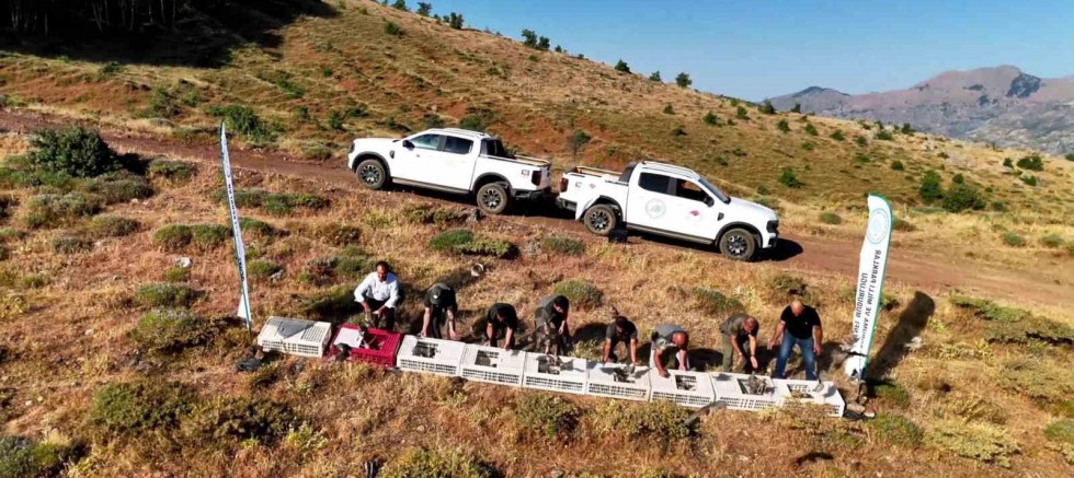 Diyarbakır’da keneye karşı doğal mücadele