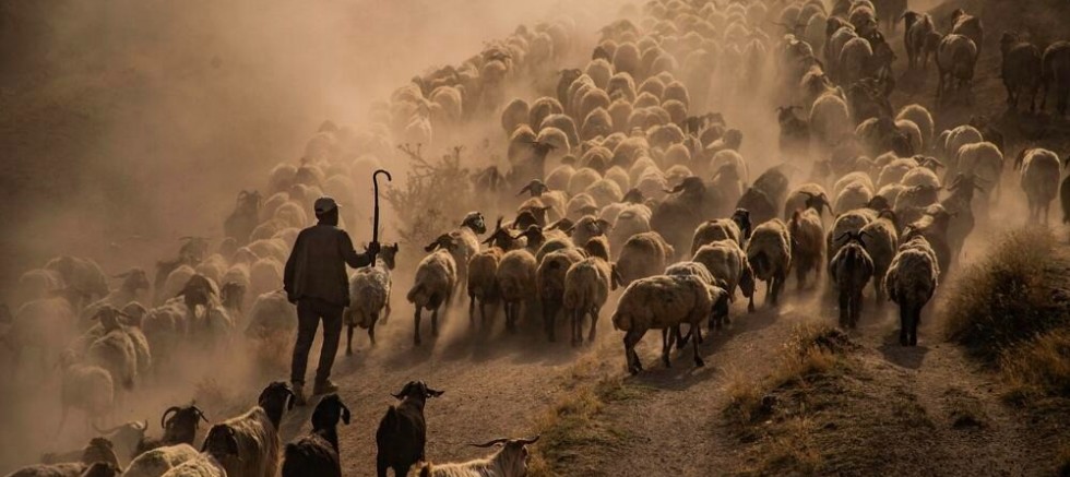 FOTONO21 Hevsel Kupası sonuçları açıklandı