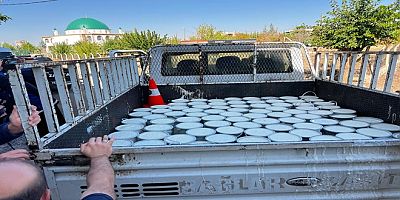 BAĞLAR BELEDİYESİ’NDEN SAHTE YOĞURT OPERASYONU