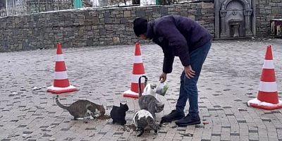 Eğil Belediyesi, sokak hayvanlarını soğukta yalnız bırakmadı