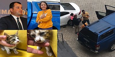Minik Alya'nın hassasiyeti kediyi kurtardı, Diyarbakır Sokak Hayvanları Derneği devreye girdi