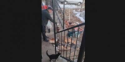 Muzaffer Uzan: “Sokak Canları Benim Canlarımdır”