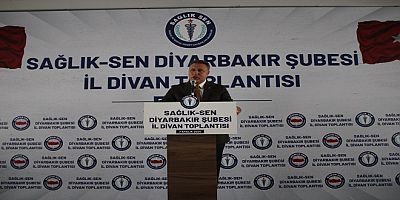 Sağlık-Sen Diyarbakır Şubesi, İl Divan Toplantısını Gerçekleştirdi