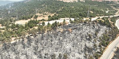 Tarihinin en büyük Gürsu yangınından yürek burkan bu manzaralar kaldı