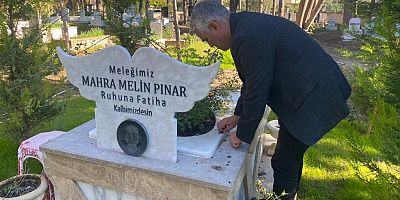 Türkiye’de sokak hayvanlarıyla ilgili acı tablo: 21 ayda 40’ı çocuk 92 kişi hayatını kaybetti